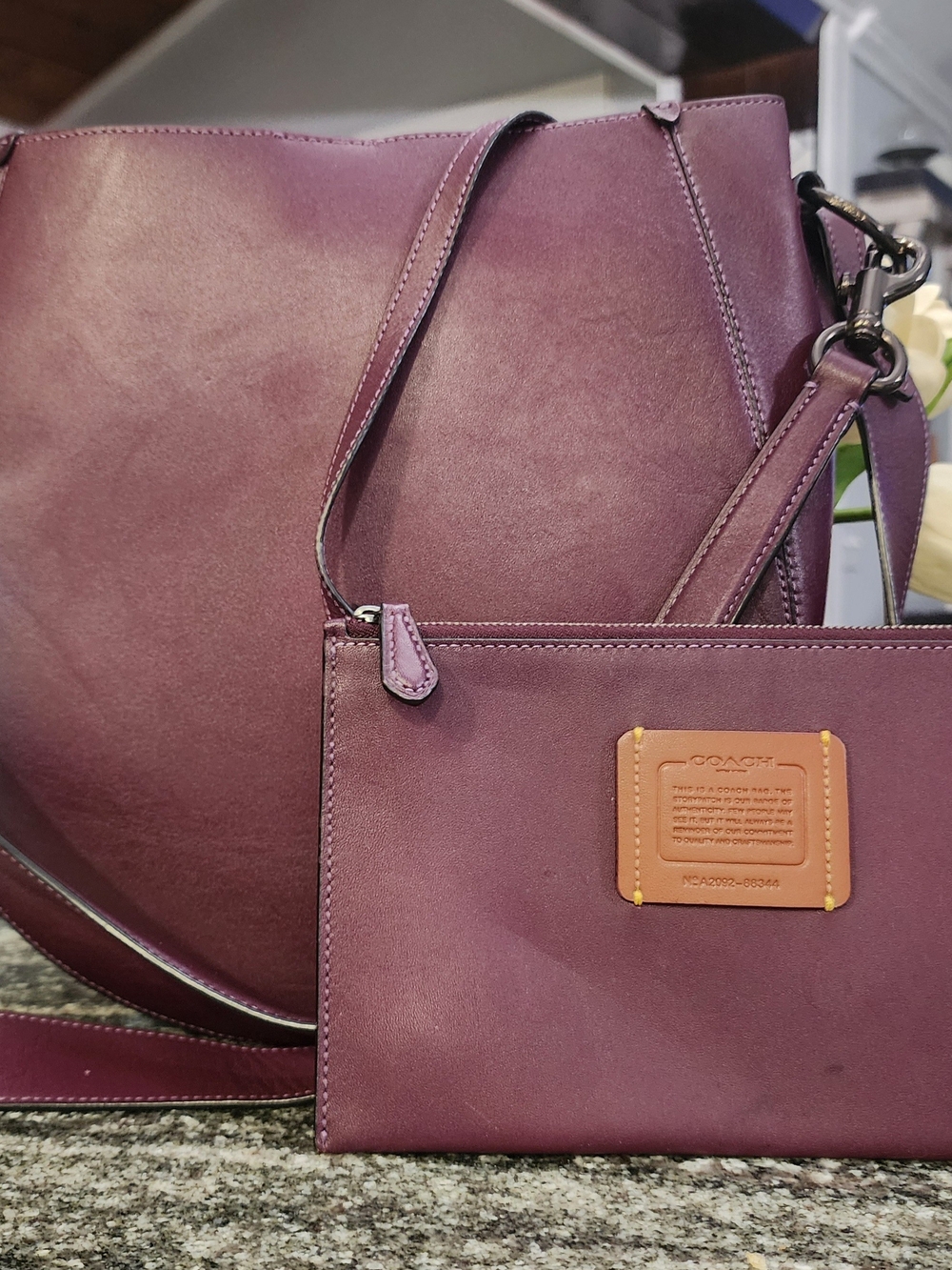 COACH Maddy Hobo Leather Shoulder Bag and Pouch in Boyenberry